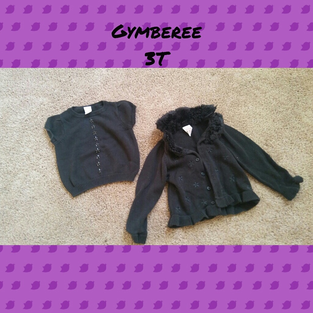 Gymberee 3t sweaters
